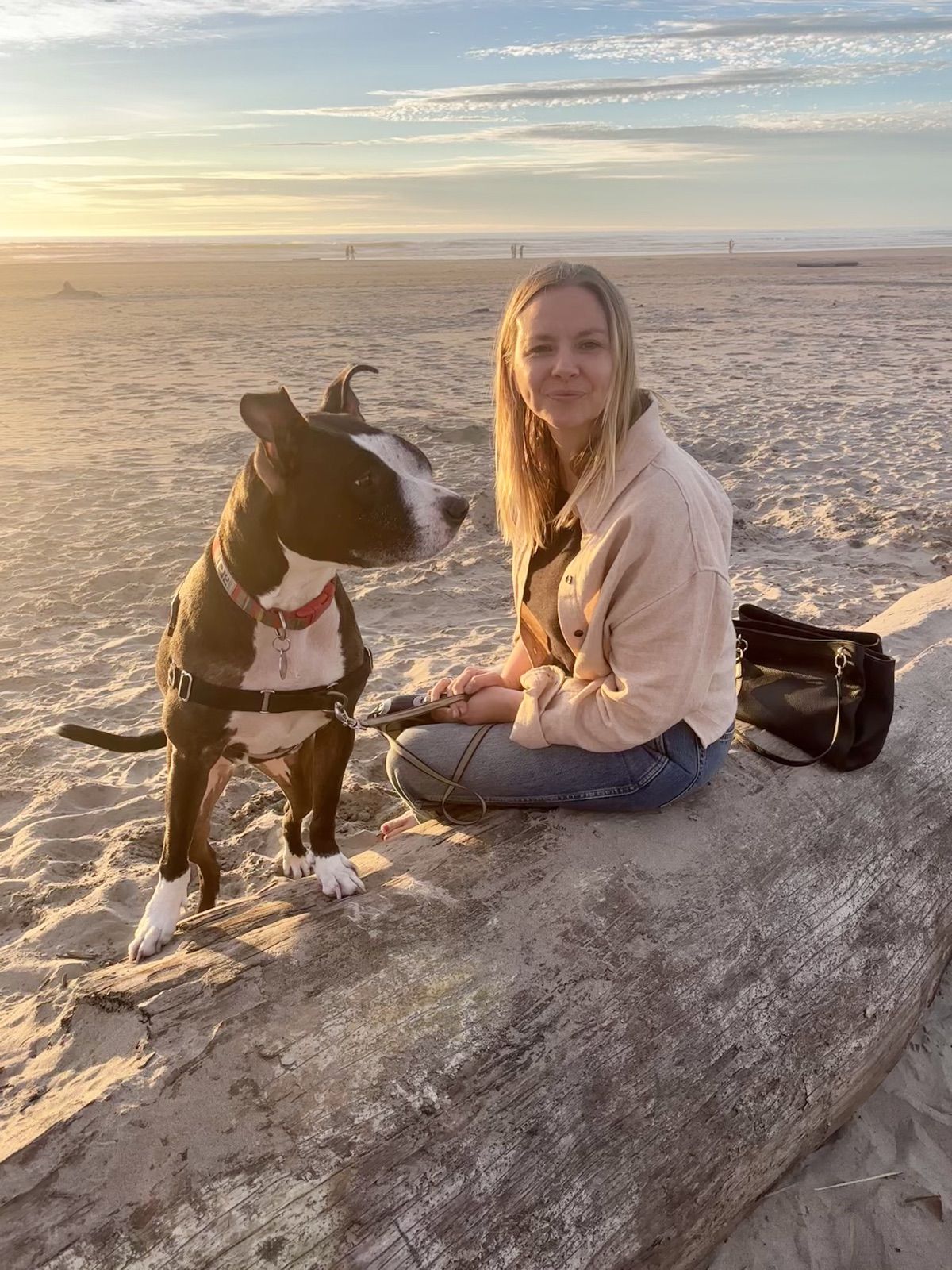 A walker sitting with a dog on the beach at sunset